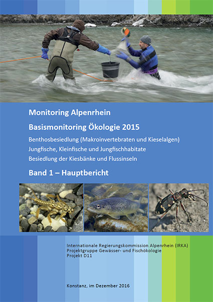 2015 Monitoring Alpenrhein – Basismonitoring Ökologie 2015
